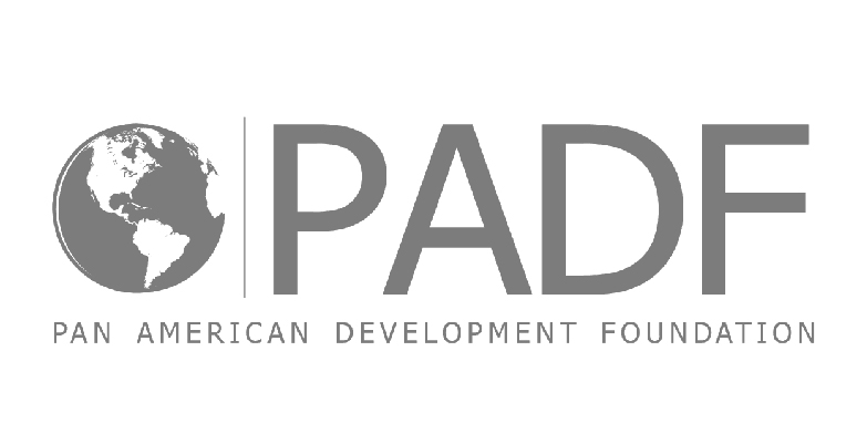 PADF - Logo